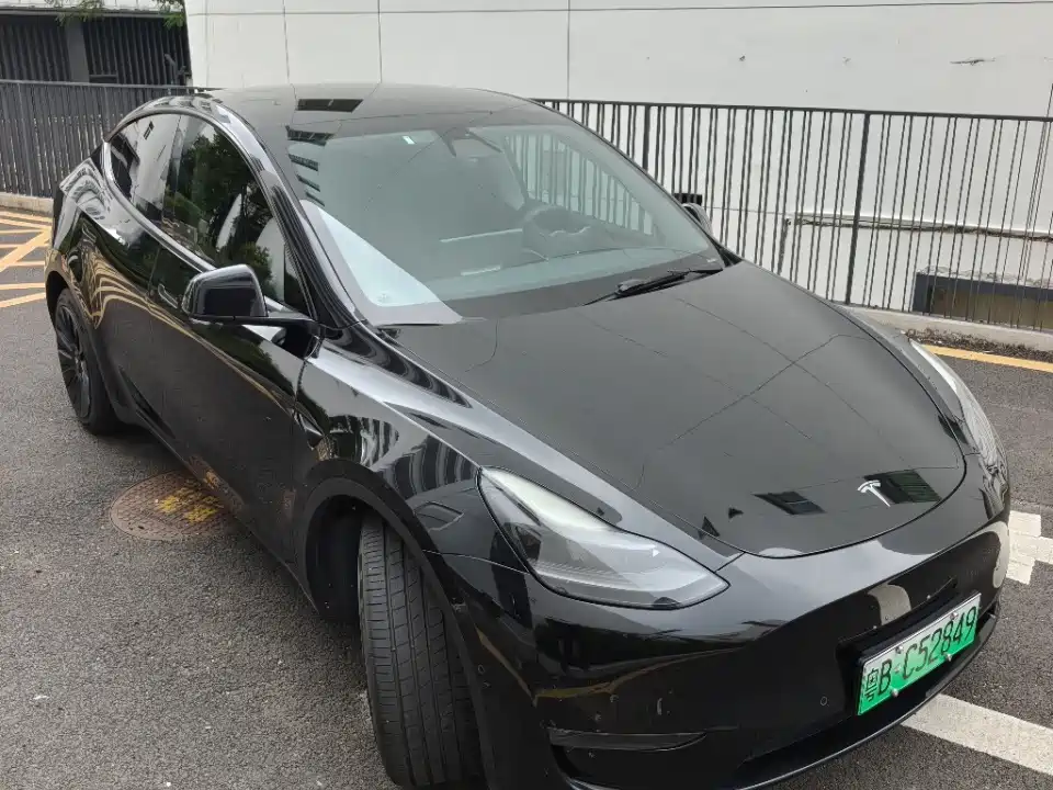 Tesla Model Y — миниатюра 2