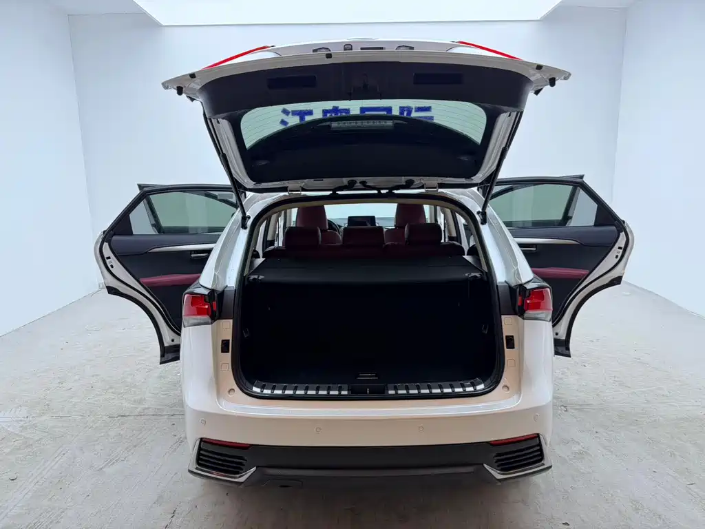 Lexus NX — миниатюра 20