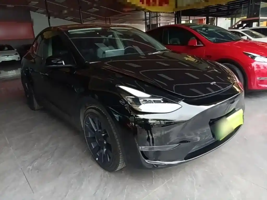 Tesla Model Y — миниатюра 4