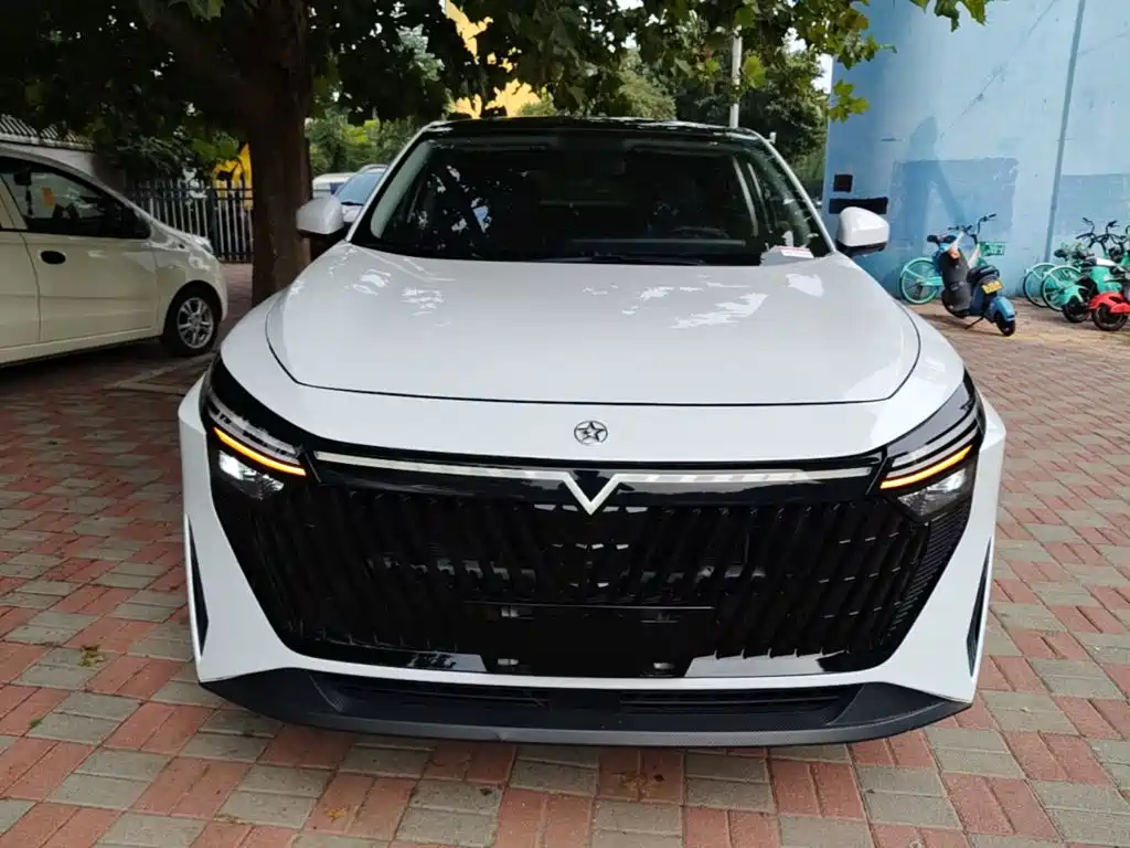 Venucia V DD-i — миниатюра 3
