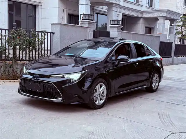 TOYOTA LEI LING 2021