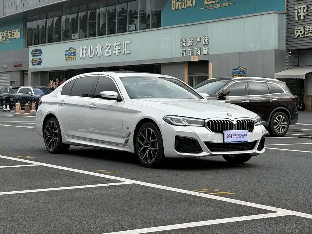 BMW 5 Series — миниатюра 3