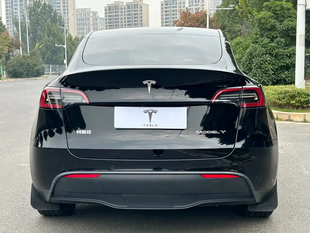 Tesla Model Y — миниатюра 17