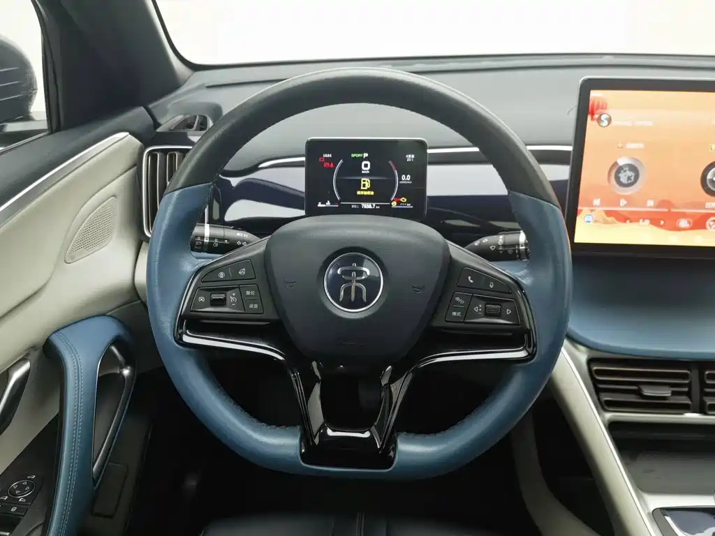 BYD Pro — миниатюра 11