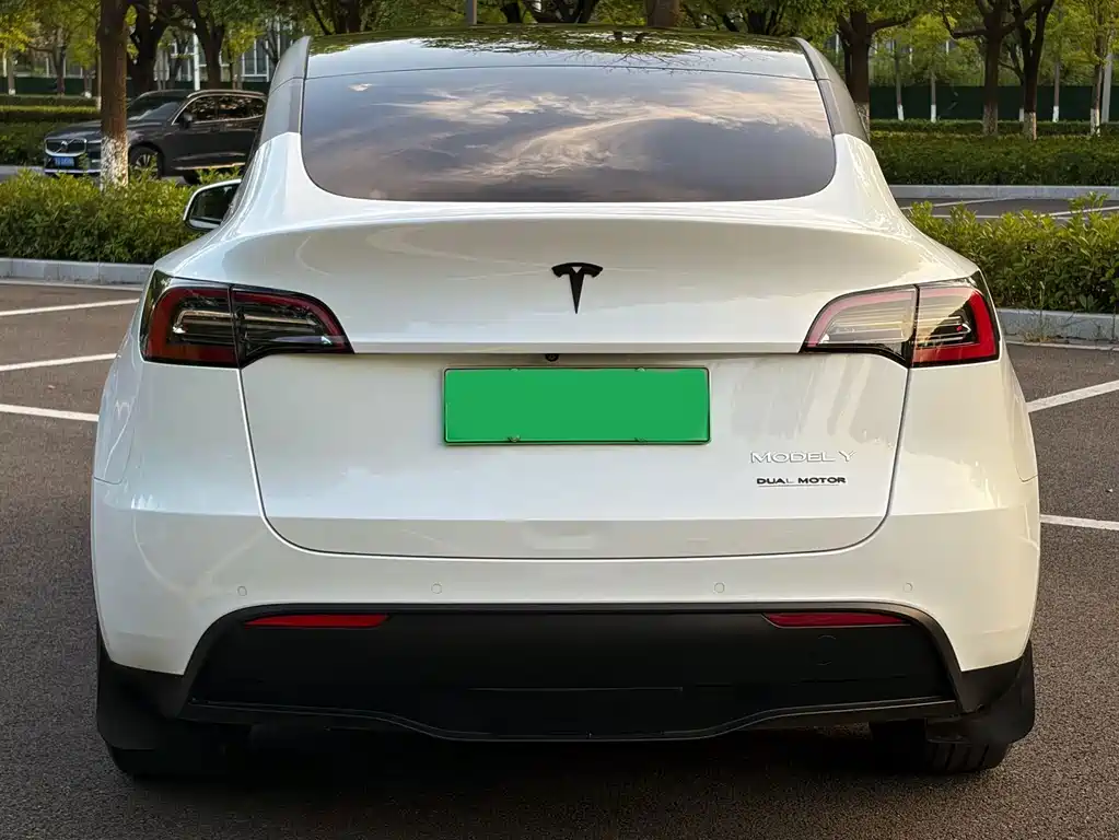 Tesla Model Y — миниатюра 5