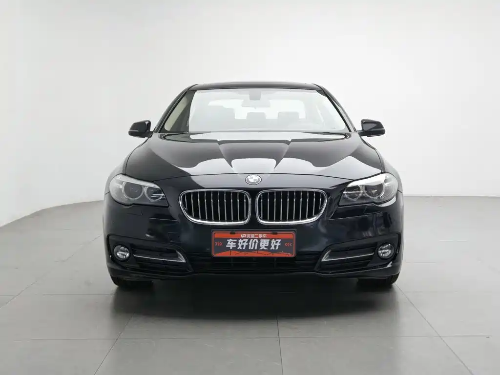 BMW 5 Series — миниатюра 3