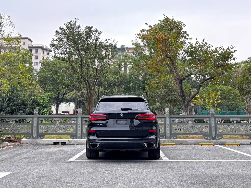 BMW X5 — миниатюра 5