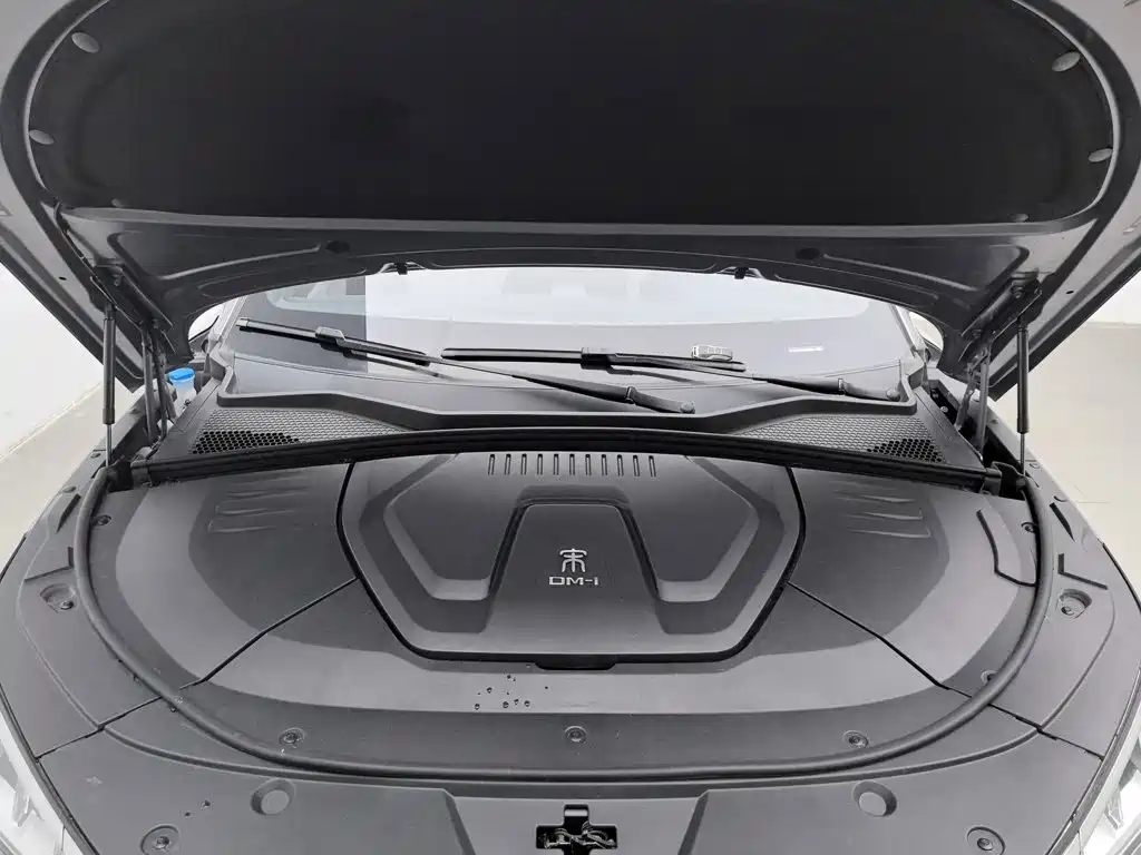 BYD PLUS New Energy — миниатюра 6