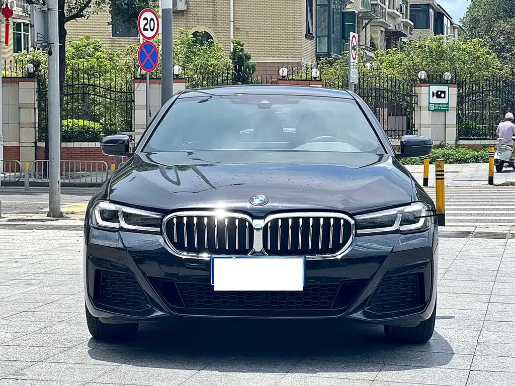 BMW 5 Series — миниатюра 2