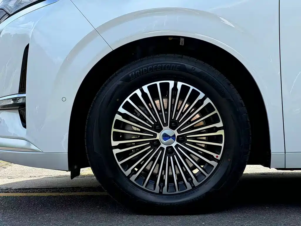 Denza Denza D9 — миниатюра 29