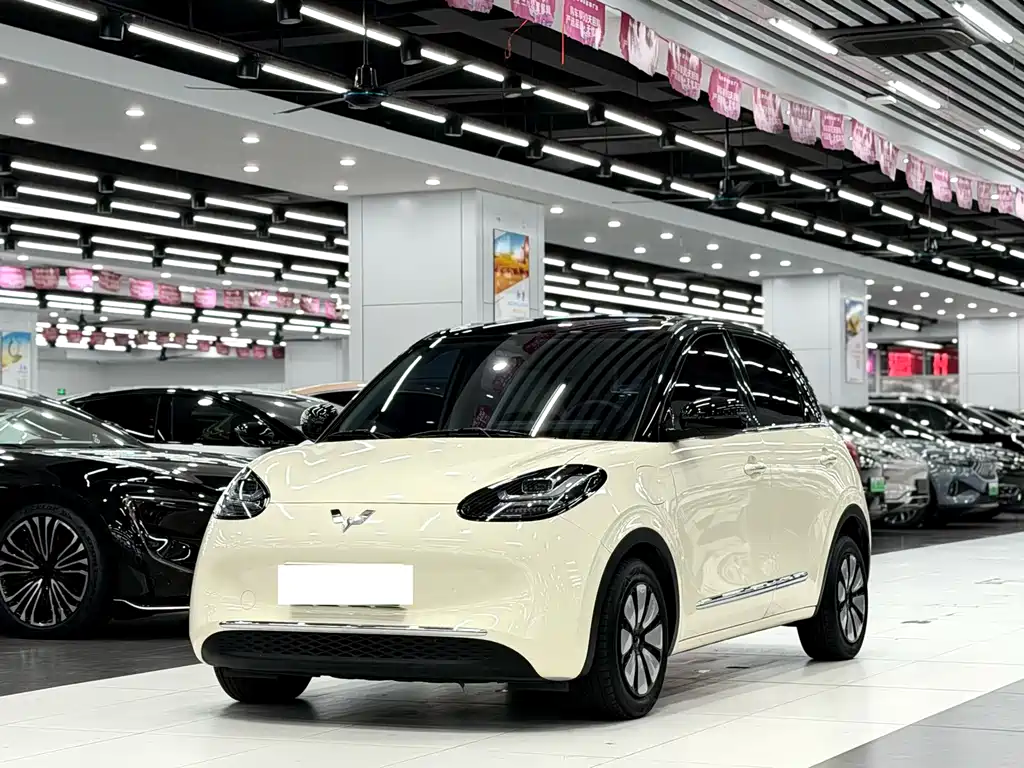 Wuling Bingo 2024