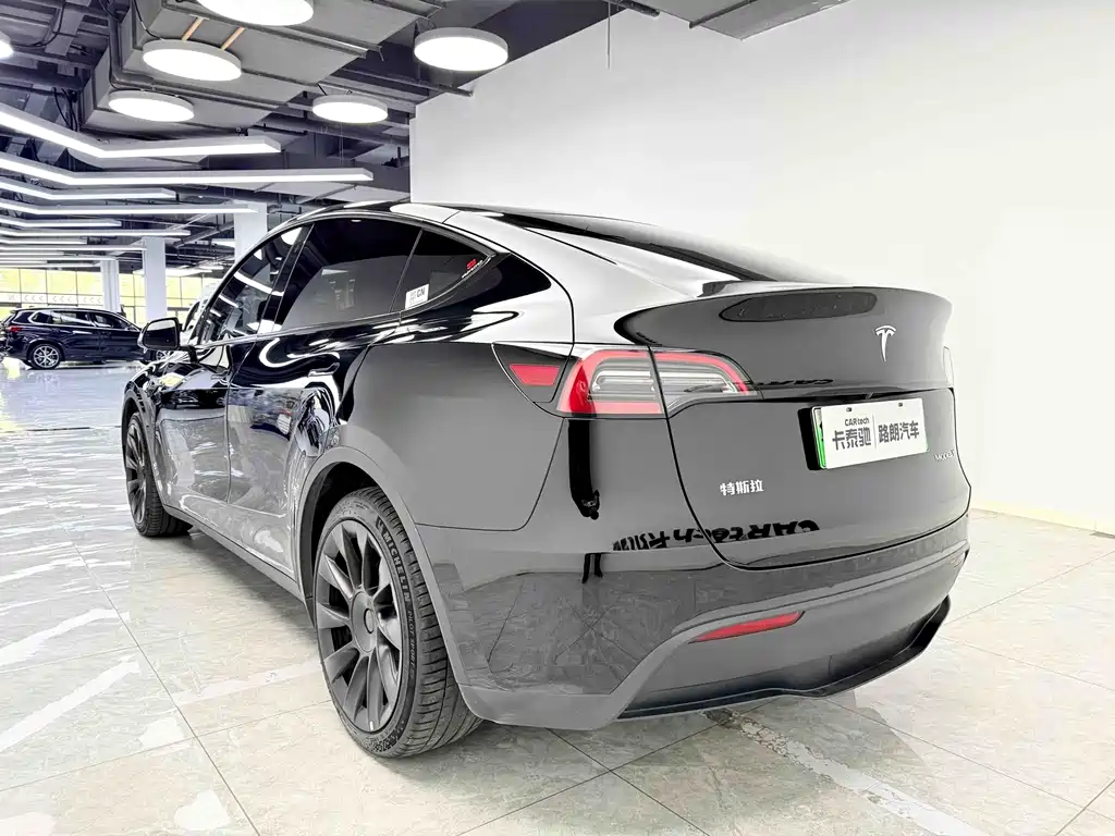 Tesla Model Y — миниатюра 4