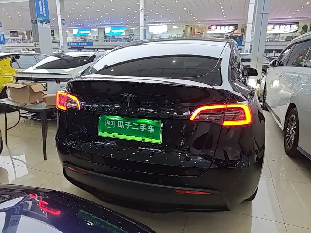 Tesla Model Y — миниатюра 6