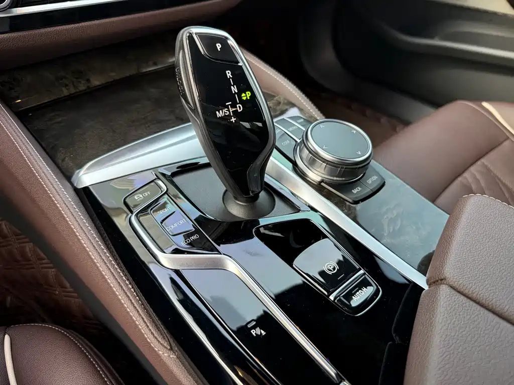 BMW 5 Series 5 2022 525Li M Sport