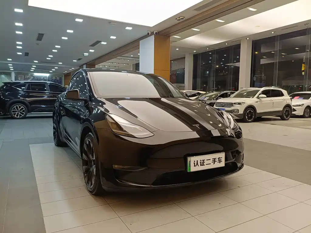 Tesla Model Y — миниатюра 2