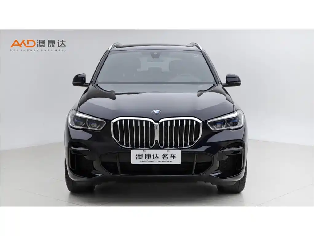 BMW X5 — миниатюра 2