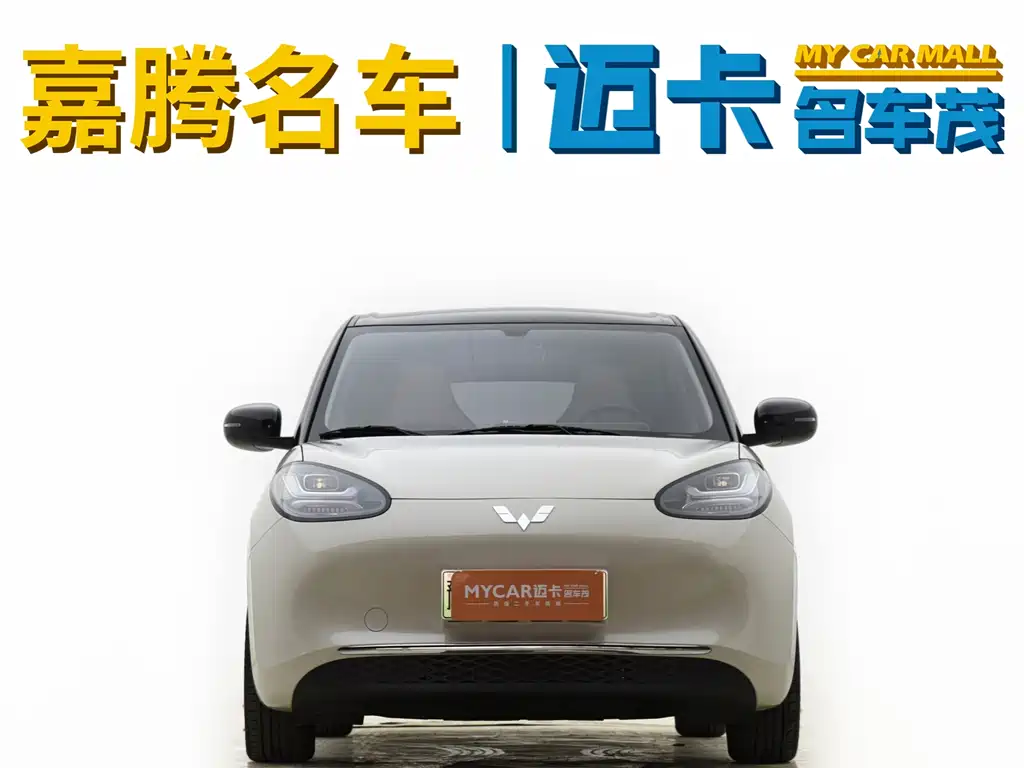 Wuling Binguo 2024 333km Enjoy