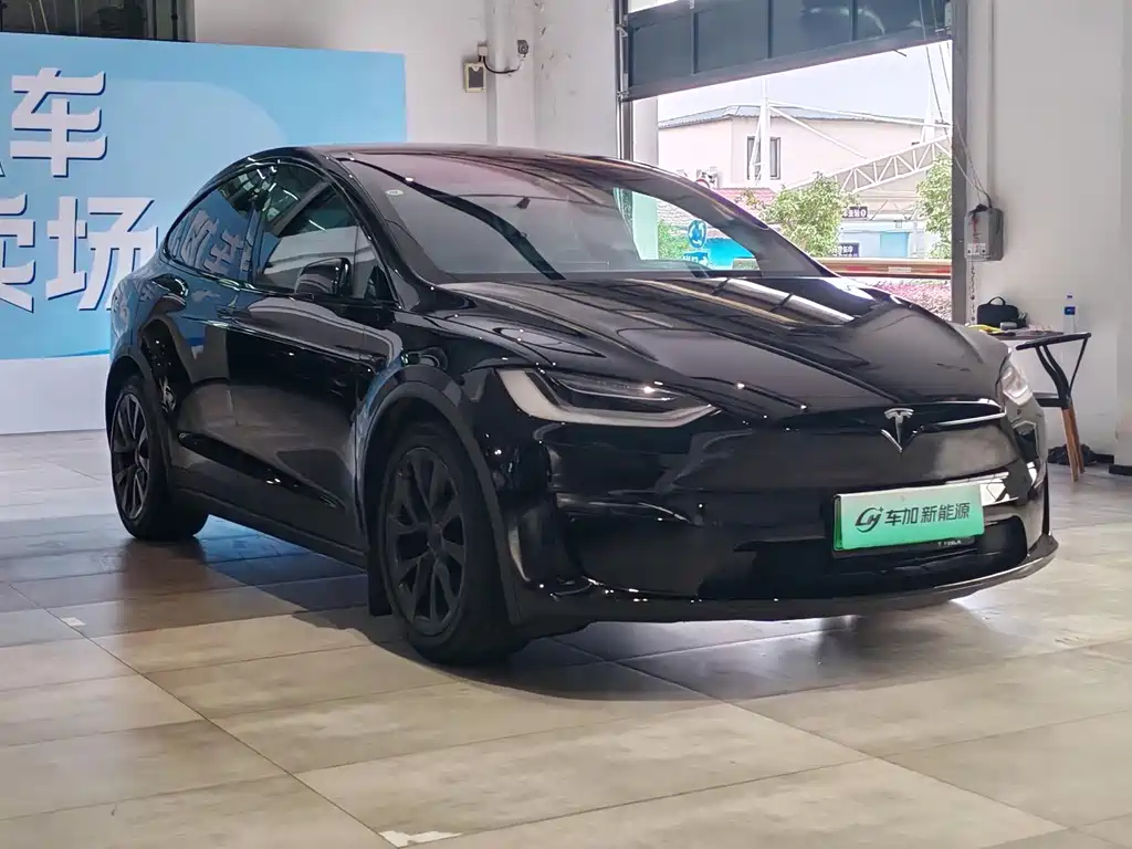 Tesla Model X — миниатюра 3