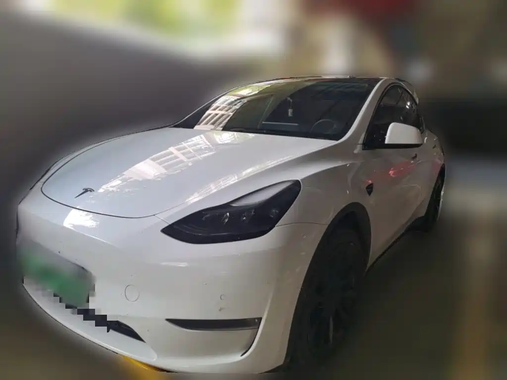 Tesla Model Y — миниатюра 2