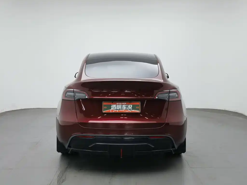 Tesla Model Y — миниатюра 4