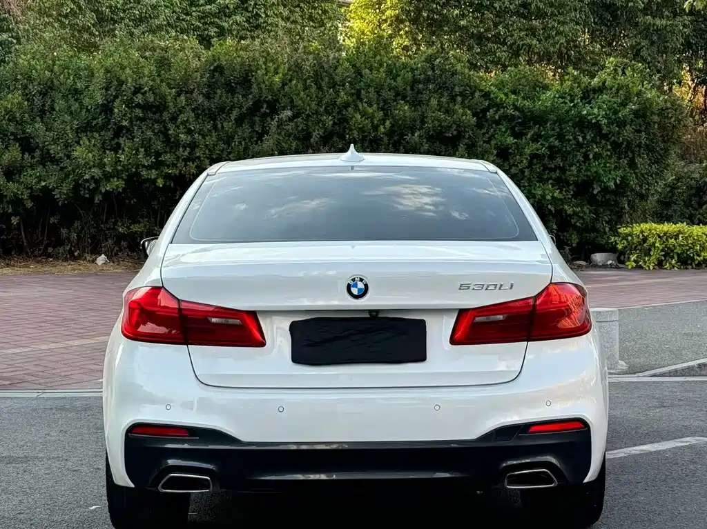 BMW 5 SERIES