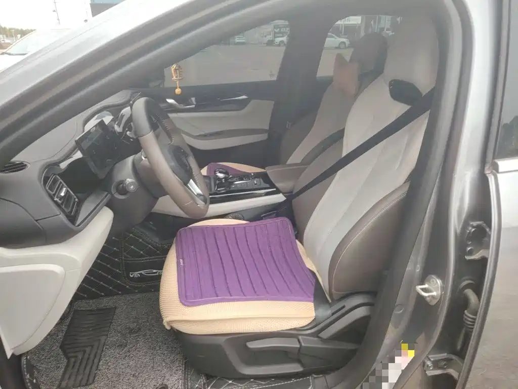 BYD Qin PLUS — миниатюра 11