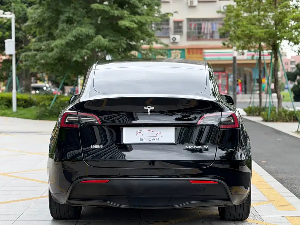 Tesla Model Y — миниатюра 4