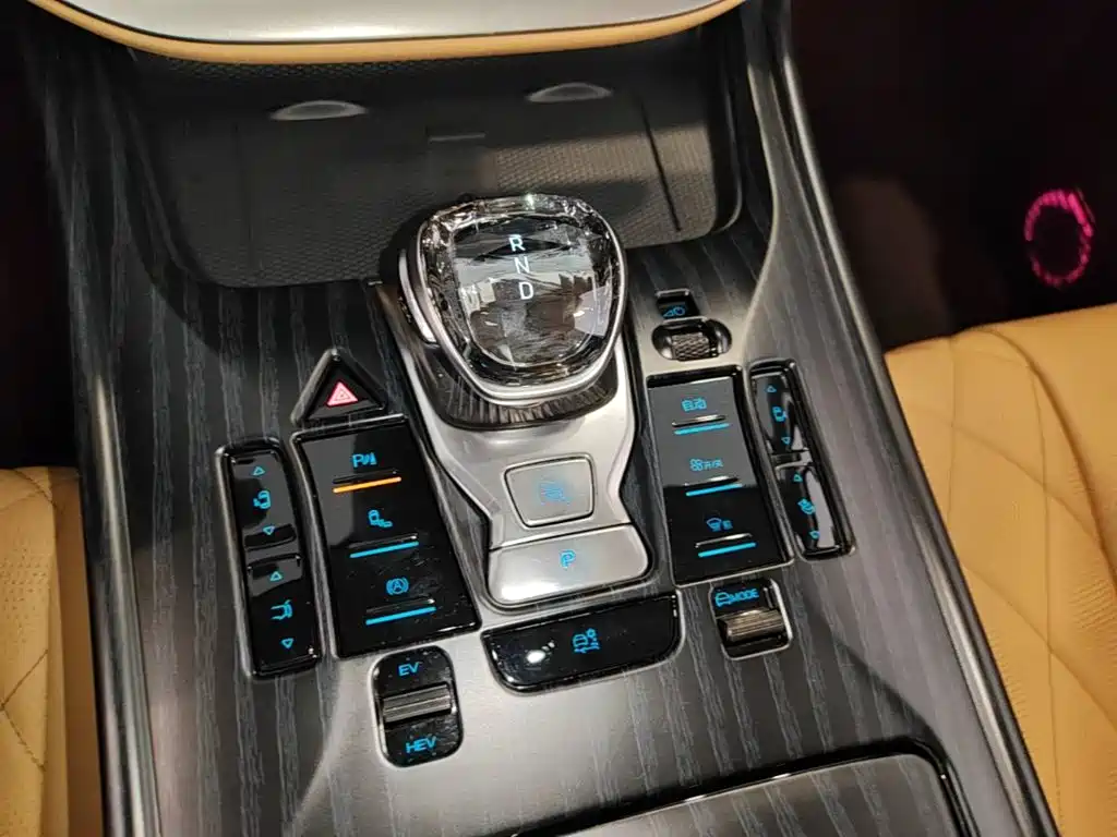 Denza Denza D9 — миниатюра 14