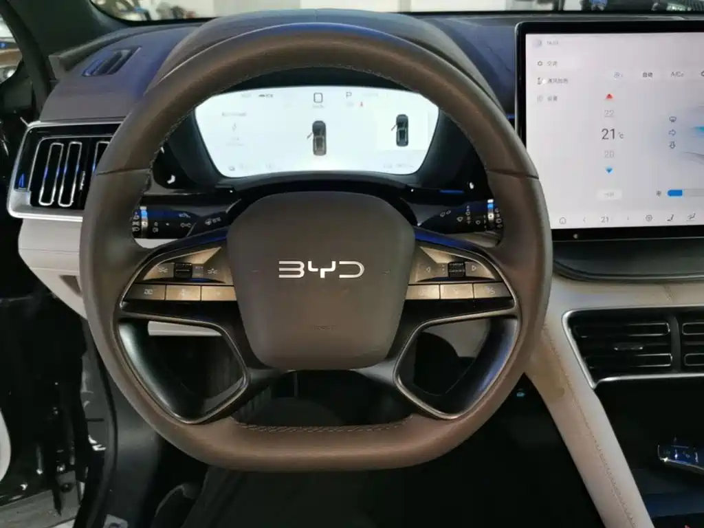 BYD PLUS New Energy — миниатюра 11