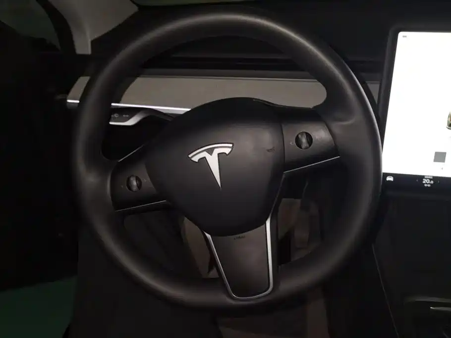 Tesla Model Y — миниатюра 15