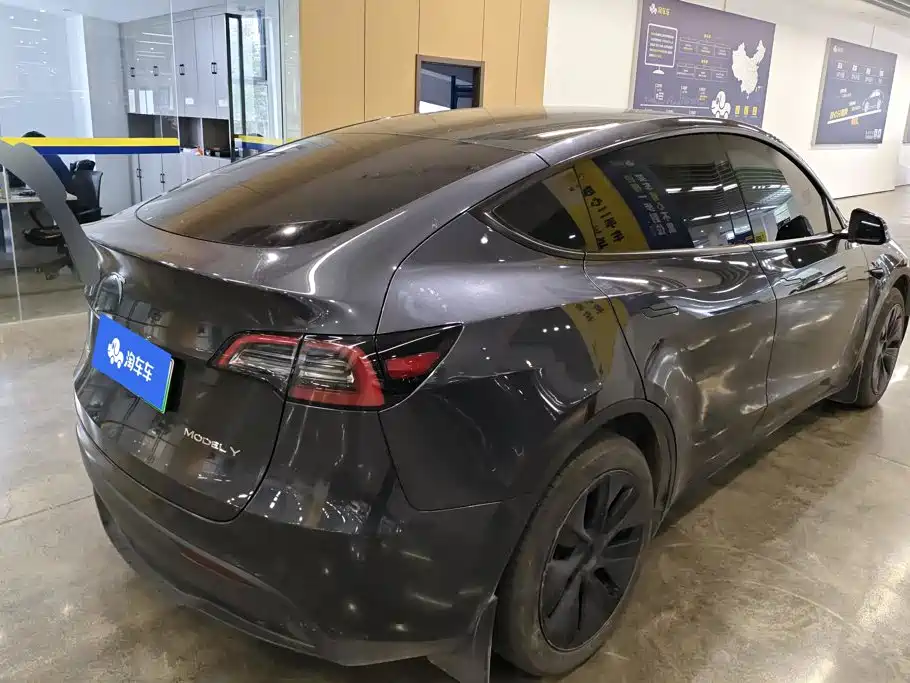 Tesla Model Y — миниатюра 3