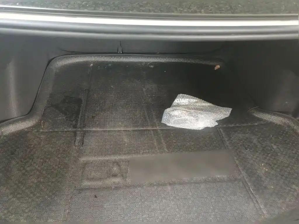Volkswagen Lamando — миниатюра 15