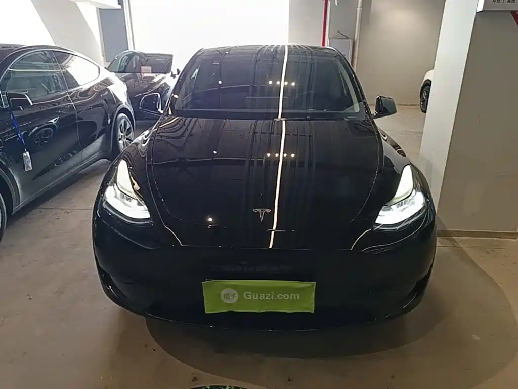 Tesla Model Y — миниатюра 3