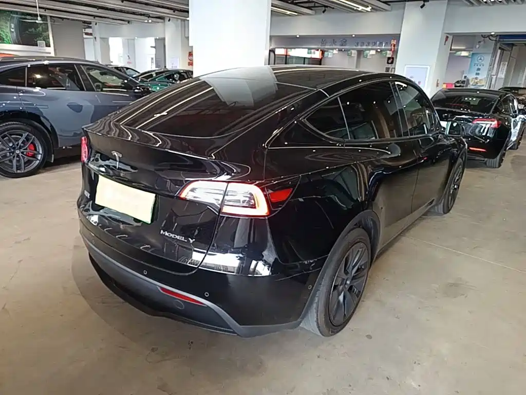 Tesla Model Y — миниатюра 7