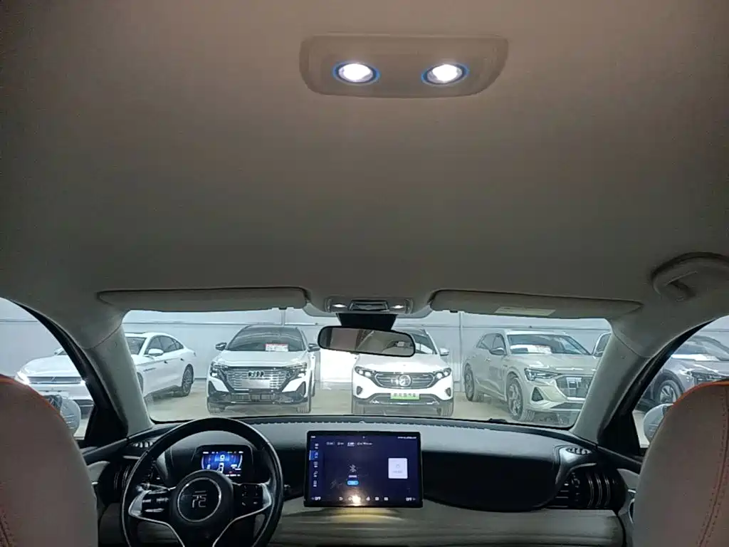 BYD Yuan Plus — миниатюра 18