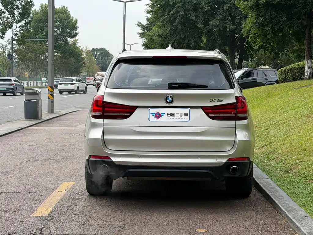 BMW X5 (Import) — миниатюра 5