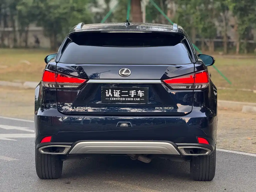 Lexus RX — миниатюра 5