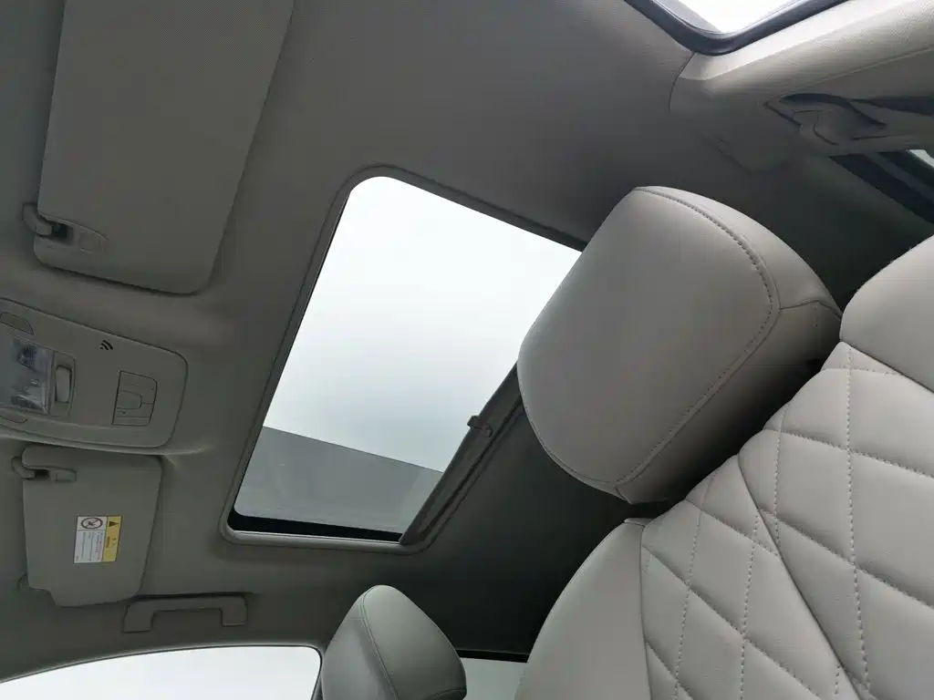 Buick GL8 — миниатюра 14