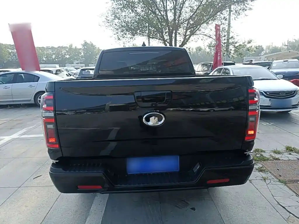 Great Wall Pao — миниатюра 6
