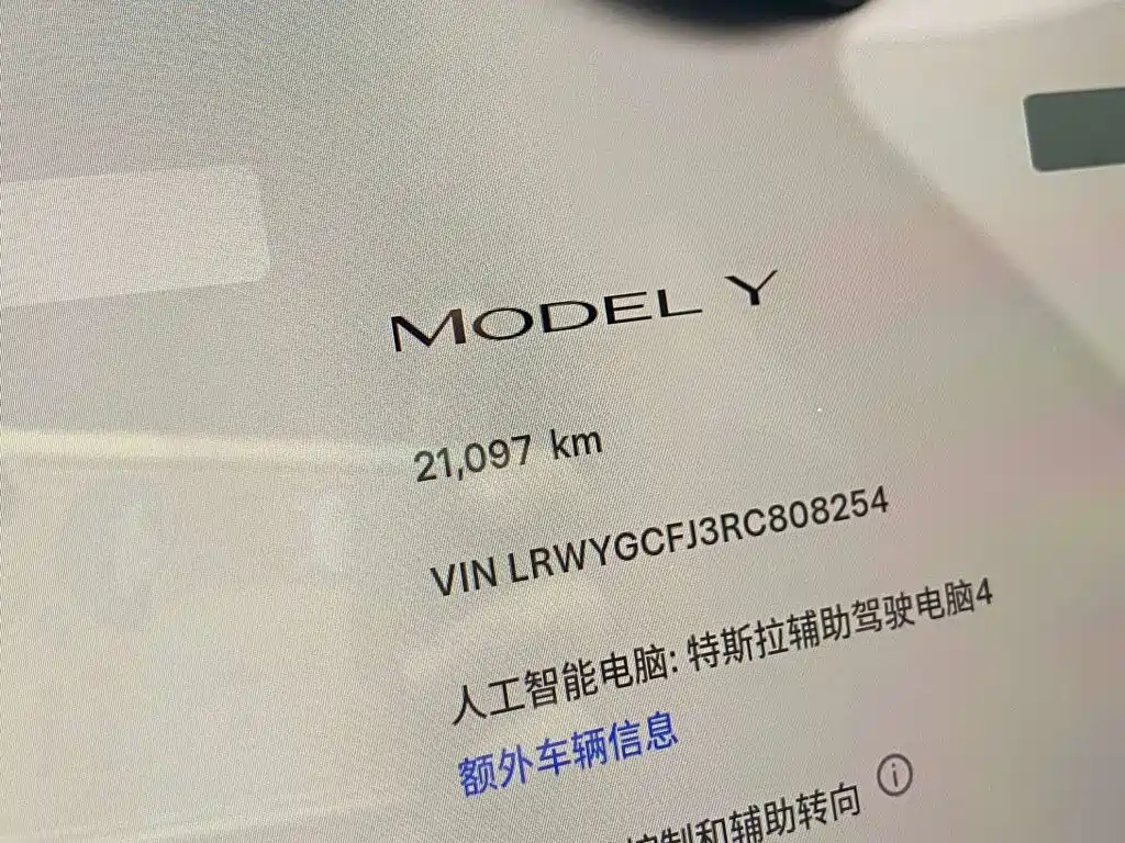 Tesla Model Y — миниатюра 19