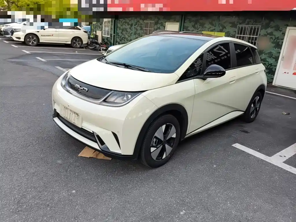 Byd Dolphin 2024