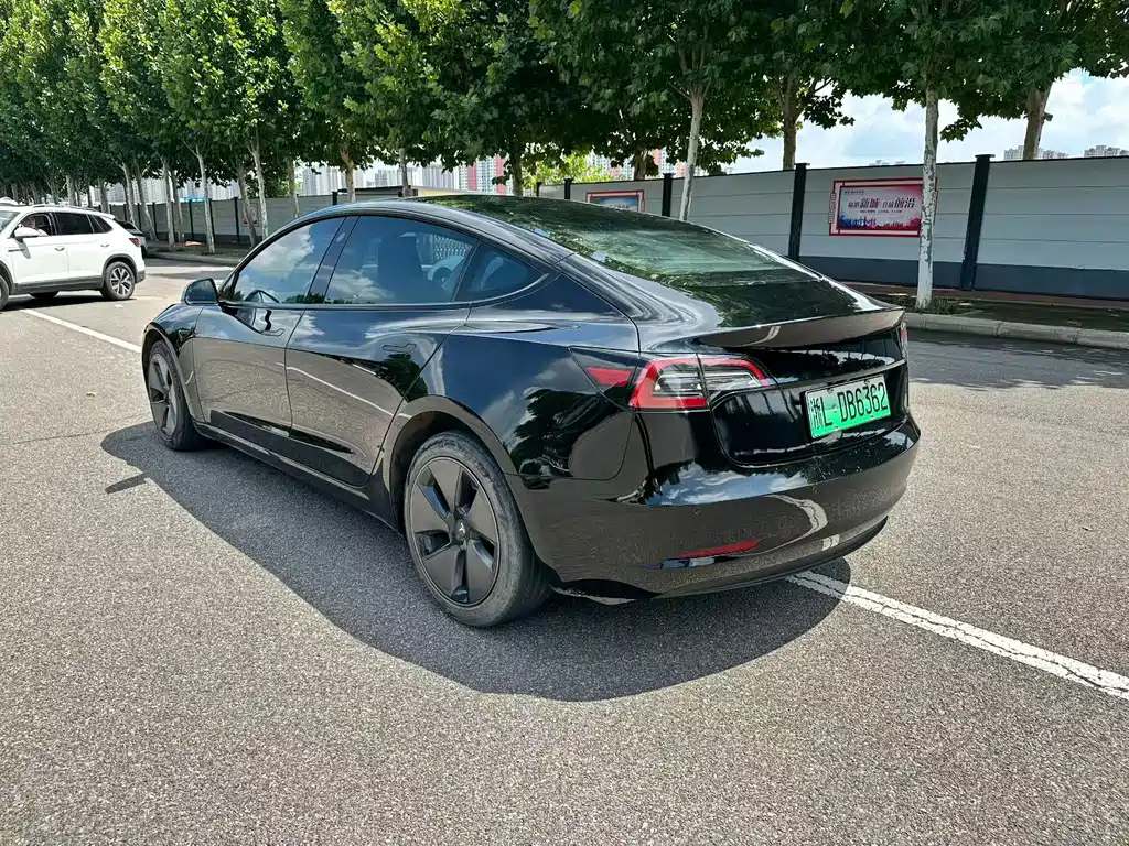 Tesla Model 3 — миниатюра 5
