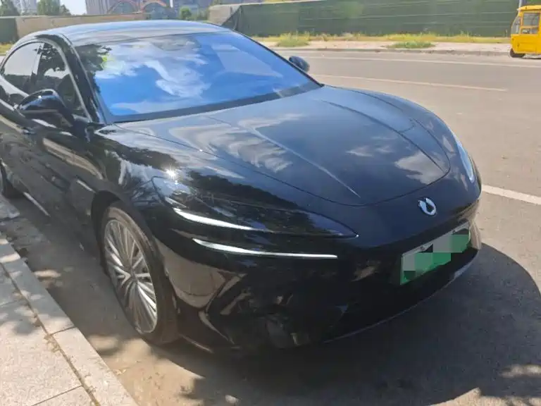 Denza Denza Z9 — миниатюра 2