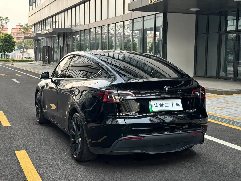 Tesla Model Y — миниатюра 13