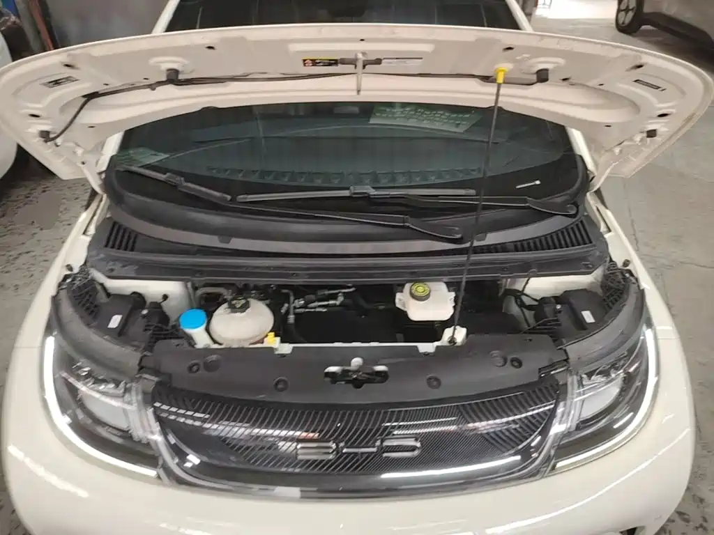 BYD Dolphin — миниатюра 20