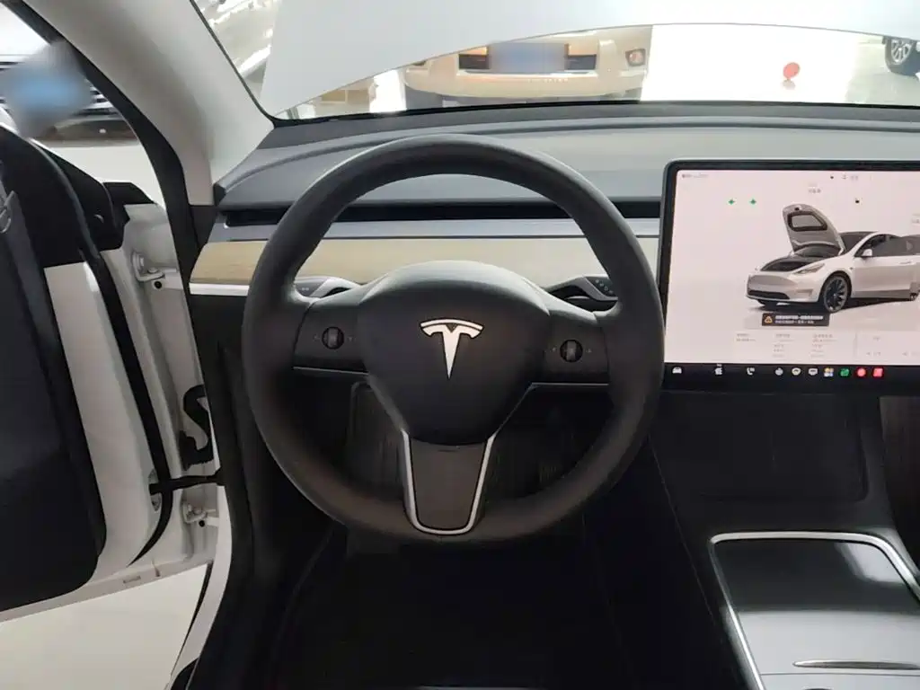 Tesla Model Y — миниатюра 11