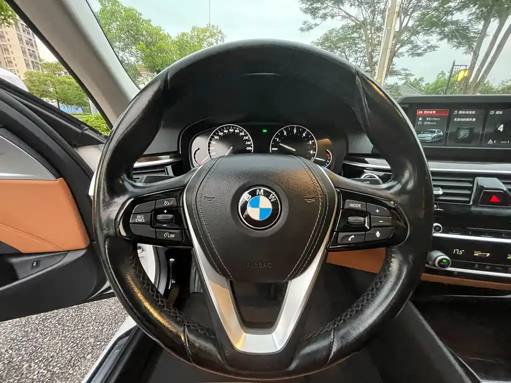BMW 5 Series 5 2018 528Li