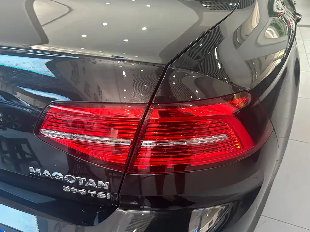 Volkswagen Magotan 2019 330TSI DSG Luxury VI