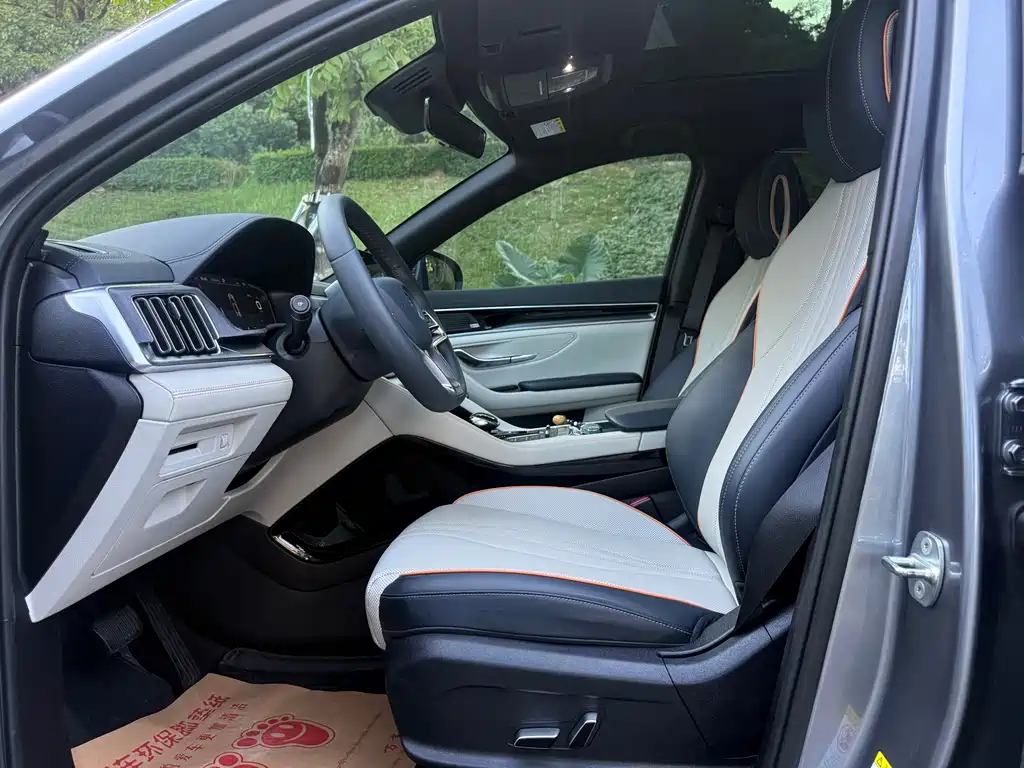 BYD PLUS New Energy — миниатюра 6