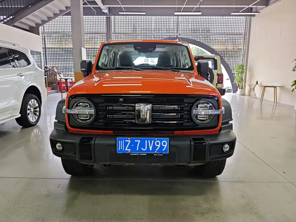 Tank 300 2.0T Gasoline Conqueror